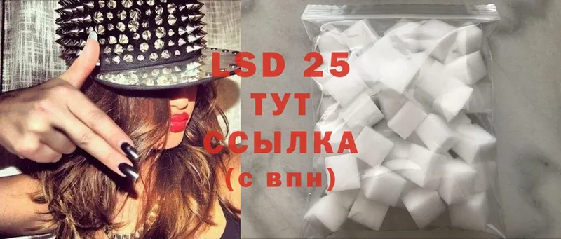 где найти наркотики  Каменногорск  Лсд 25 экстази ecstasy 